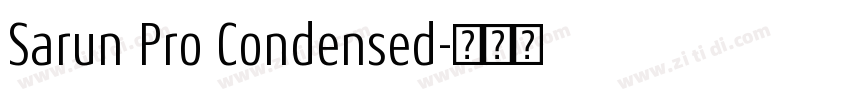 Sarun Pro Condensed字体转换